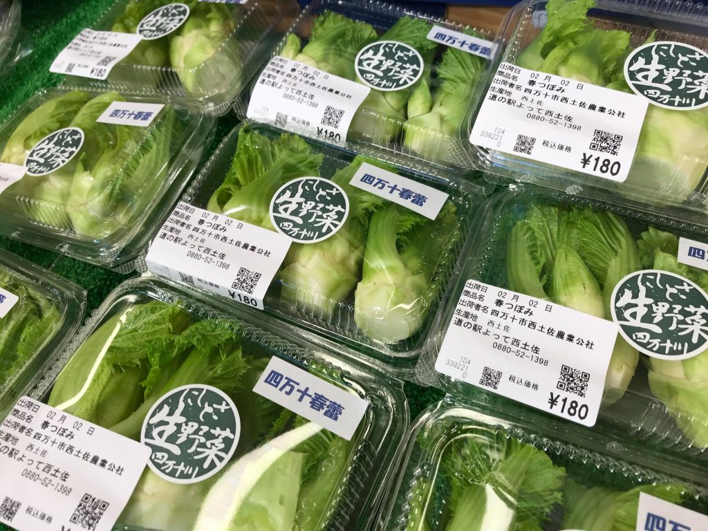 3月の旬の野菜 春つぼみ 道の駅よって西土佐